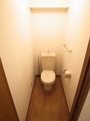 Toilet. Western-style toilet with cleanliness ☆