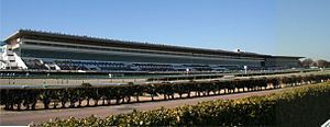 Other. 1000m to Nakayama Racecourse (Other)