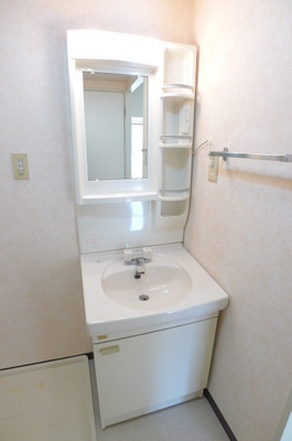 Washroom. Bathroom vanity