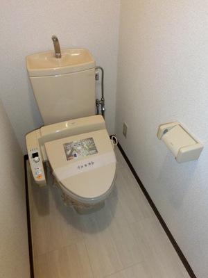 Toilet. Toilet