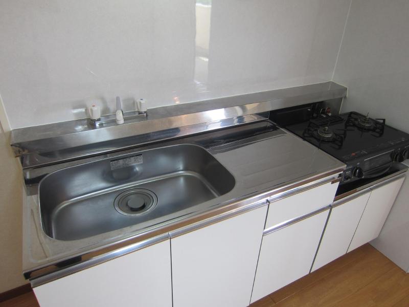 Kitchen. Spacious sink in shiny