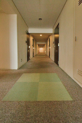 Other common areas. Carpet paste on the inner corridor