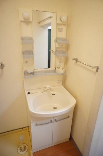 Washroom. Independent wash basin with shampoo dresser.