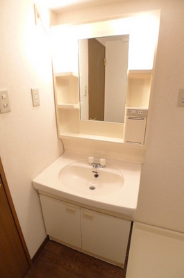 Washroom. Bathroom vanity