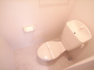 Toilet. Toilet is also beautiful to cleaning being completed! 