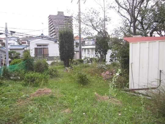 Local land photo. Residential land