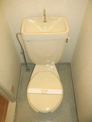 Toilet. It is a Western-style toilet