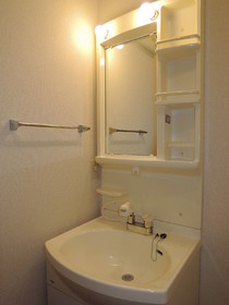 Washroom. It comes with shampoo dresser