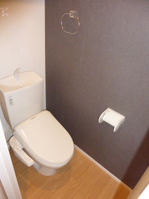 Toilet. Bidet function with toilet