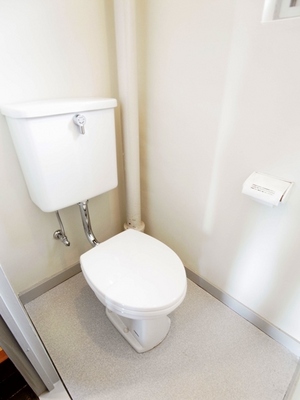 Toilet. You can ventilation there is a window lighting is also a bright 0.00. 