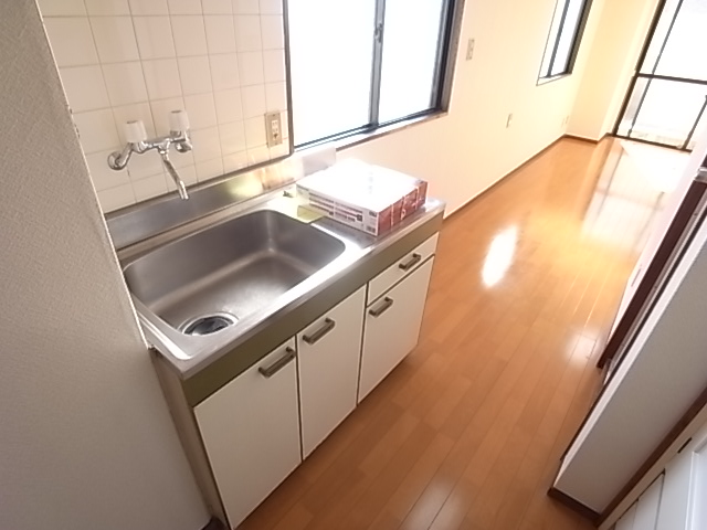 Kitchen. This sink is also easy-to-use large. 