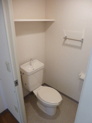 Toilet. It is with shelf.