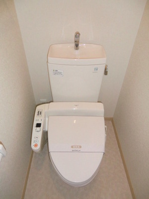 Toilet. Toilet