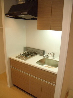 Kitchen. System kitchen