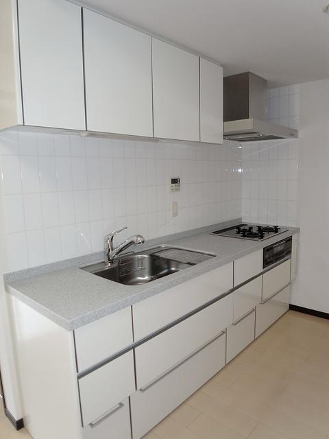 Kitchen. Simple system kitchen of the white-collar