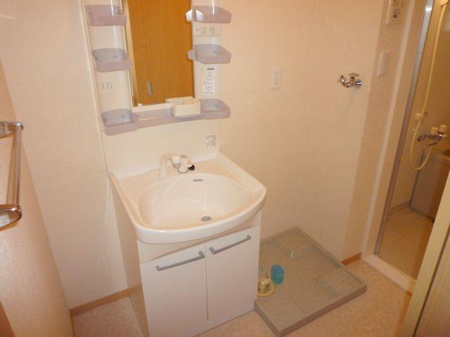 Washroom. With shampoo dresser