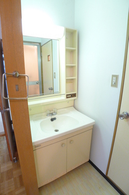 Washroom. Bathroom vanity