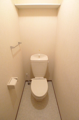 Toilet. Toilet