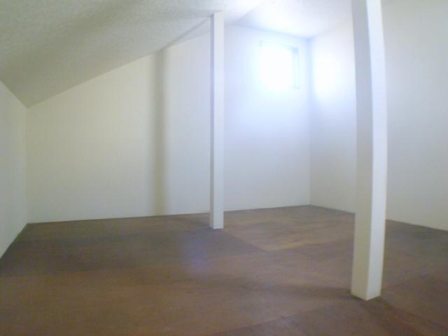 Other room space. Attic is a room