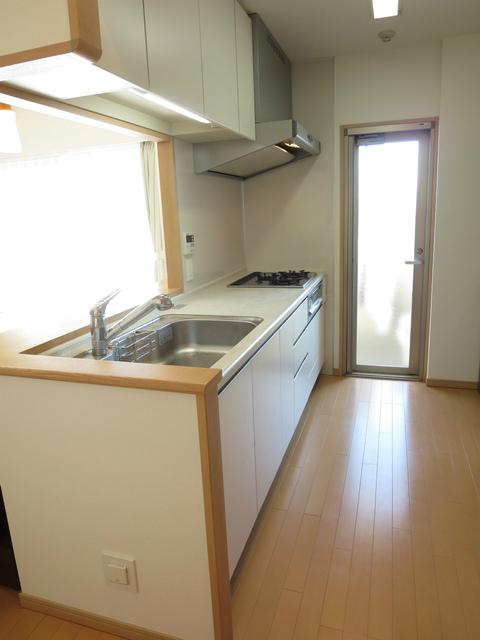 Kitchen. Handy with a back door to the kitchen