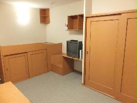 Living and room. In addition to bed or under stairs storage space of the closet