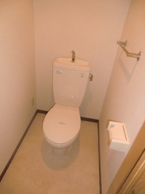 Toilet. It is a western style of your toilet