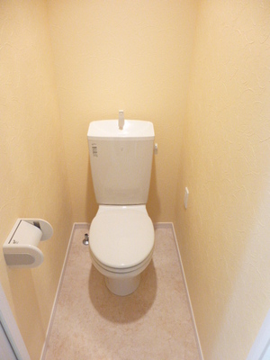 Toilet. Toilet of calm interior