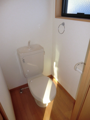 Toilet. It is a Western-style toilet