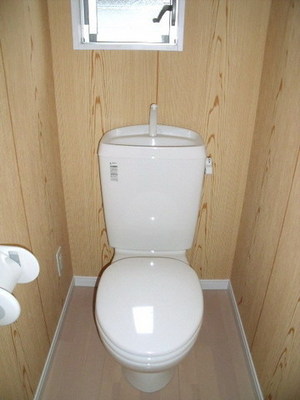 Toilet. Simple toilet.