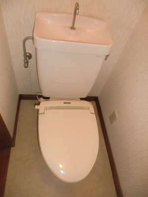 Toilet. Toilet room with cleanliness