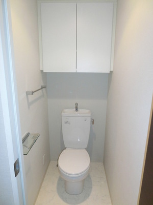 Toilet. Western-style toilet