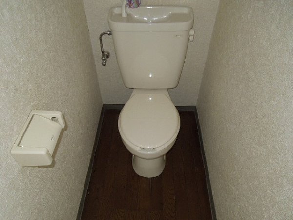 Toilet. Toilet