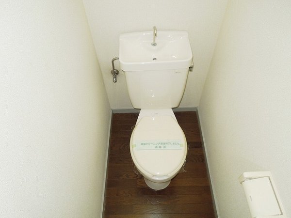 Toilet. Toilet