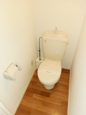 Toilet. I toilets are simple.