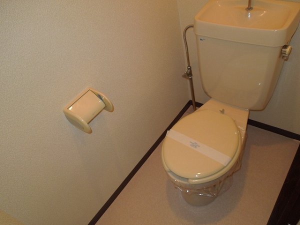 Other Equipment. Toilet