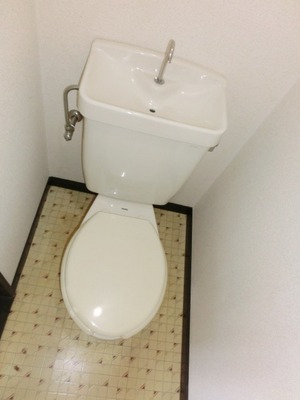 Toilet. Toilet