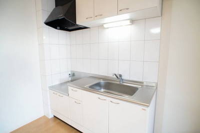 Kitchen. Clean kitchen where the white tones