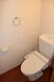 Toilet. With warm water washing toilet seat