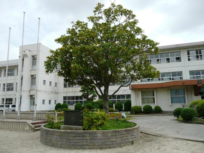 Primary school. Municipal Wakamiya Elementary School