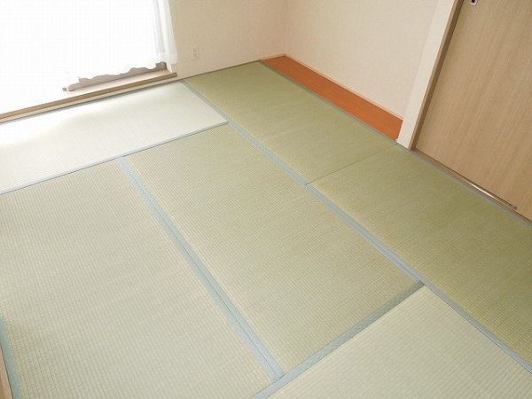 Other room space. Japanese style room