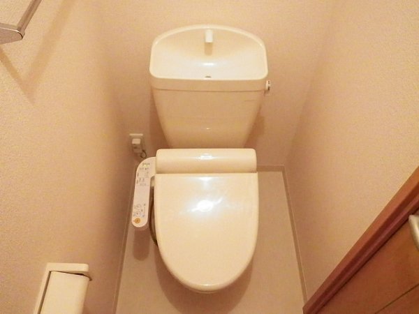 Toilet. Toilet