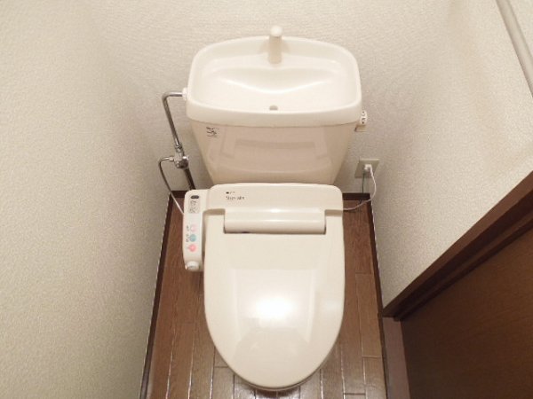 Toilet. Toilet