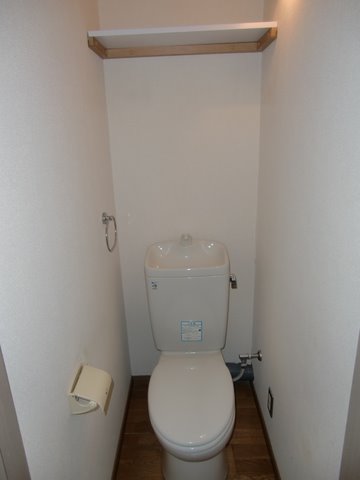 Toilet. The same type