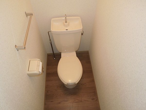 Toilet. Toilet