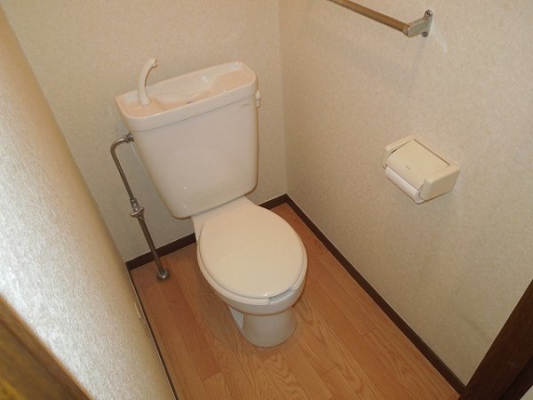 Toilet. Toilet