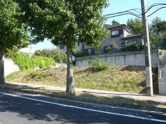 Local land photo