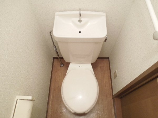 Toilet. Toilet