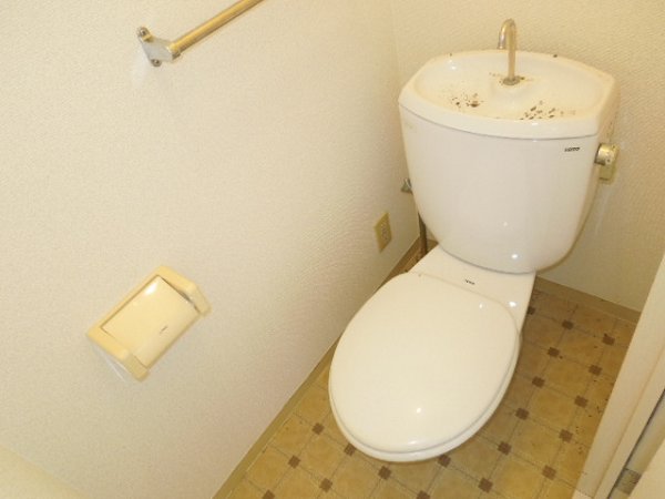 Toilet. Toilet