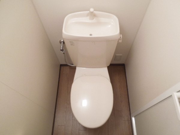 Toilet. Toilet