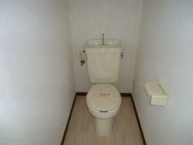 Toilet. It is a place to settle down.